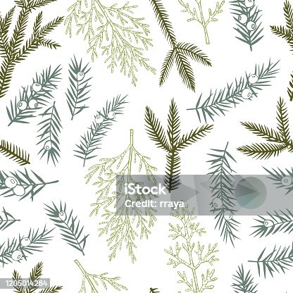 istock Vector  pattern with Christmas plants. 1205014284