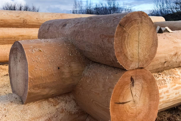 istock Drying and assembly of wooden log house at a construction base. 1205016343