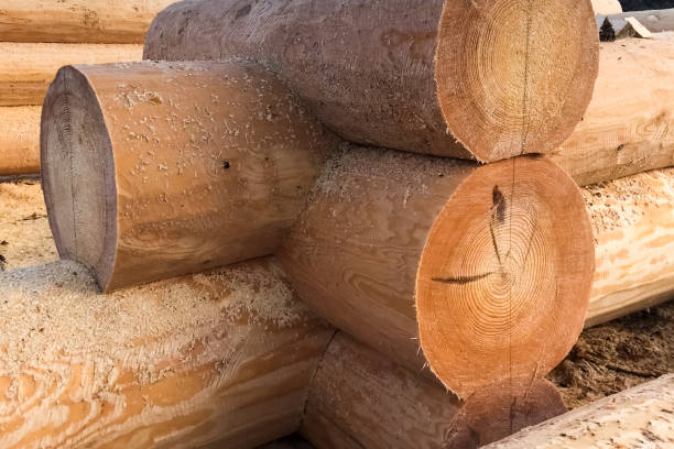 istock Drying and assembly of wooden log house at a construction base. 1205016349