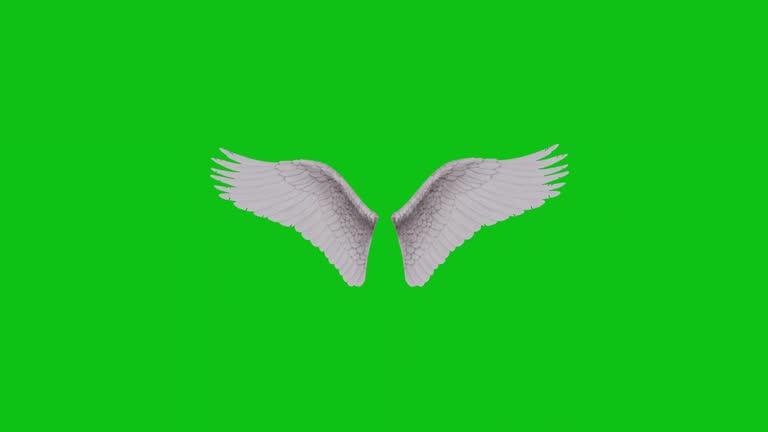 Fluffy white 3D animated angel wings flapping on a green screen background