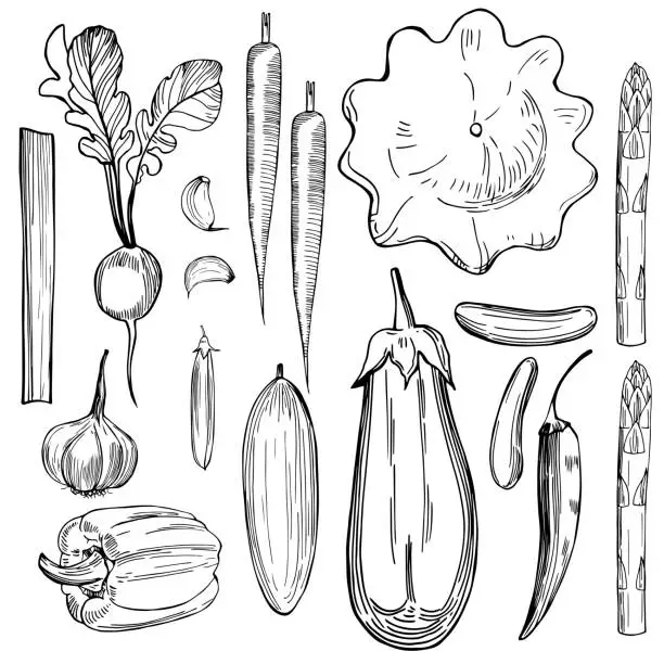 Vector illustration of Hand drawn vegetables on white background.