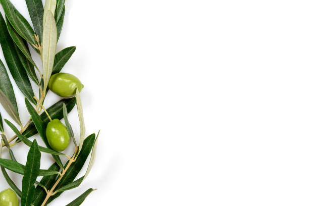 istock Real green olives and leaves background, with white surface for copy space and mockup. 1205020288