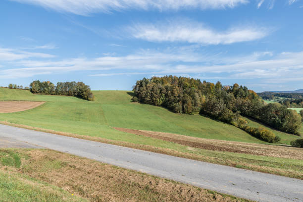 istock Mowed meadow and landscape in the Bavarian Forest, Germany 1205020404