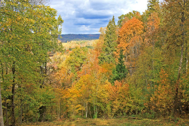 istock Autumn in Sigulda, Latvia 1205020526