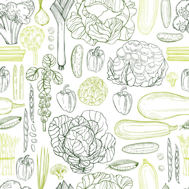 ilustraciones, imágenes clip art, dibujos animados e iconos de stock de verduras verdes dibujadas a mano.   patrón vectorial sin costuras - comida sana ilustraciones