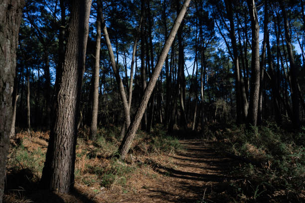 Plouhinec Hiking