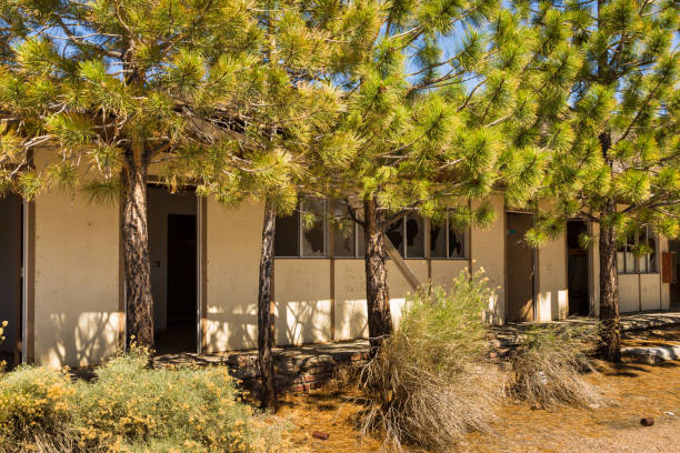 istock Abandoned, destroyed buildings at 6 road, Nevada, USA. 1205030496