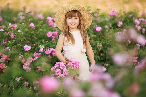 A girl in a hat with flowers. Set in a natural wild field with roses girl 6 years old collects a bouquet of roses.