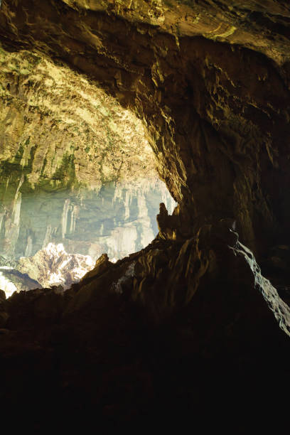istock View inside Deer cave in Gunung Mulu National Park 1205035431