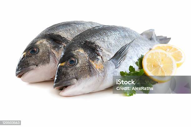 Vergoldetchef Stockfoto und mehr Bilder von Farbbild - Farbbild, Fisch, Fische und Meeresfrüchte