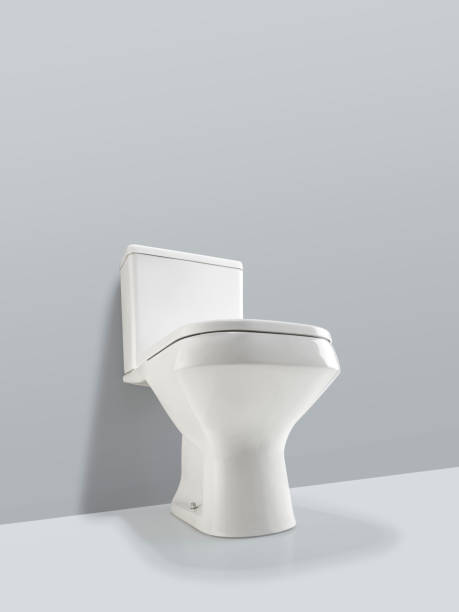 istock Sanitary toilet seen from below 1205036355