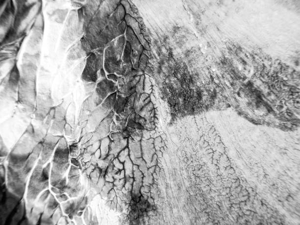 istock The black white acrylic painting texture background 1205039946