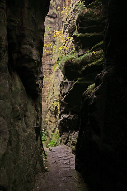 istock Narrow rock passage in the Elbe Sandstone Mountains 1205039971