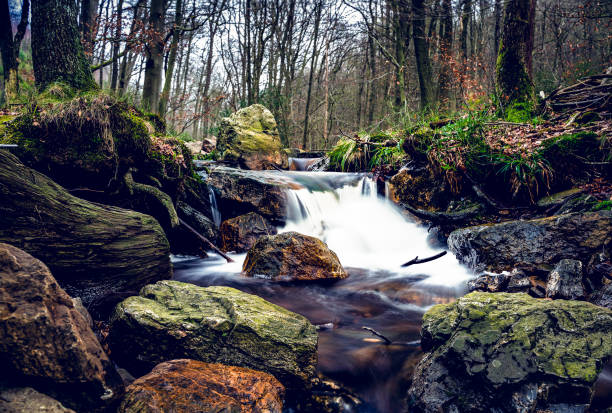 Sungai Tekala Recreational Forest is located about 14km away from the town of Semenyih in Hulu Langat, Selangor. The distance from Kuala Lumpur is approximately 50km. This recreation park was established in 1982 for the public to enjoy the beauty of the tropical rainforest in Selangor