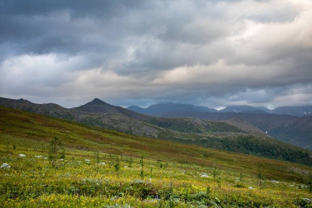 paisagem gonry dos urais subpolares na rússia. verão no norte além do círculo ártico - montes urales - fotografias e filmes do acervo