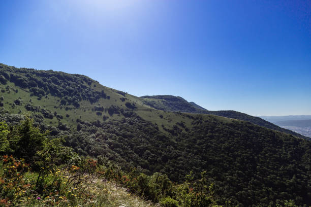 istock Markhotsky ridge in spring, Gelendzhik 1205042606