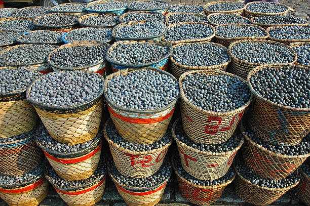 istock Acai Fruit harvest and market 120504414