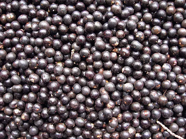 Acai, the small superfruit from the brazilian amazon, very rich in naturally nutrients and antioxidants.