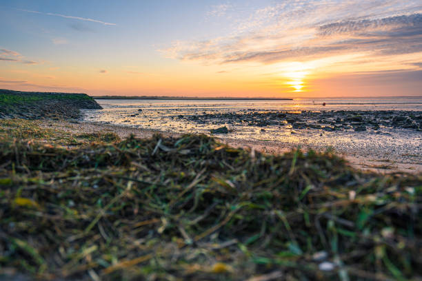 istock Fantastic sunset on the North Sea coast. 1205045249
