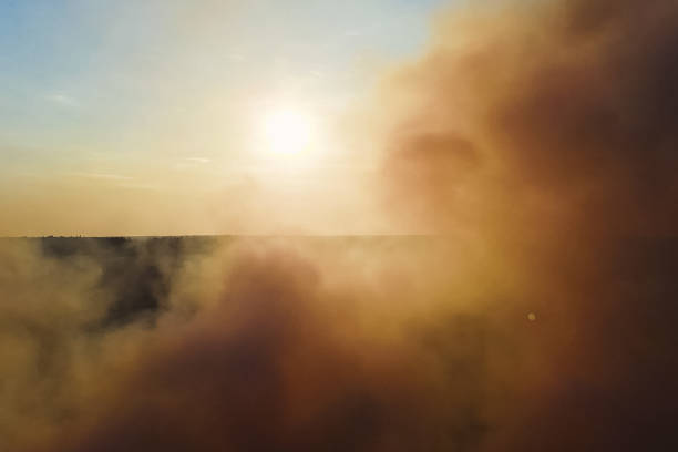 istock Fires in Russian forest, Transbaikal forest in fire, burning of 1205051933