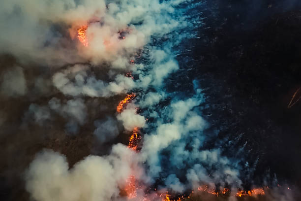 fuego en el bosque, árboles en llamas y hierba. incendios naturales - república de sakha fotografías e imágenes de stock