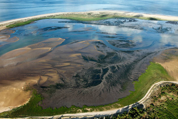 istock Anse de la Palmyre as seen from the sky 1205052953