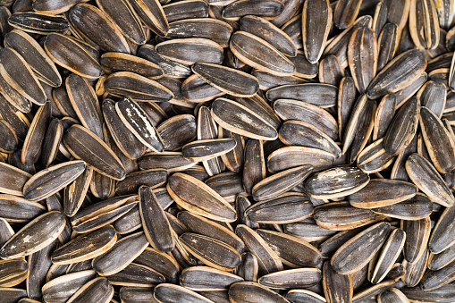 Top view full screen of sunflower seeds