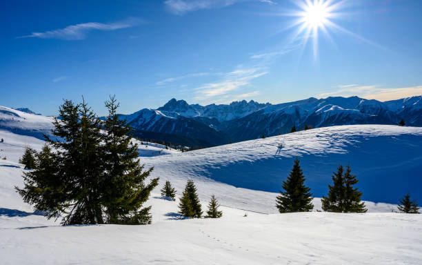 istock Winter landscape in the mountains 1205054431