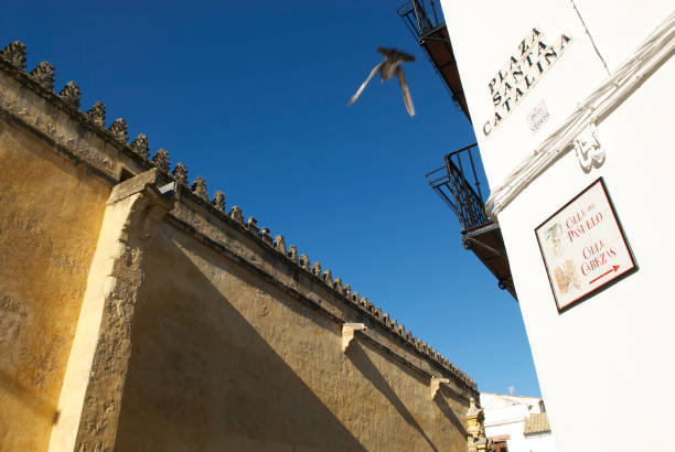 istock Mezquita Fortified Wall 1205054573