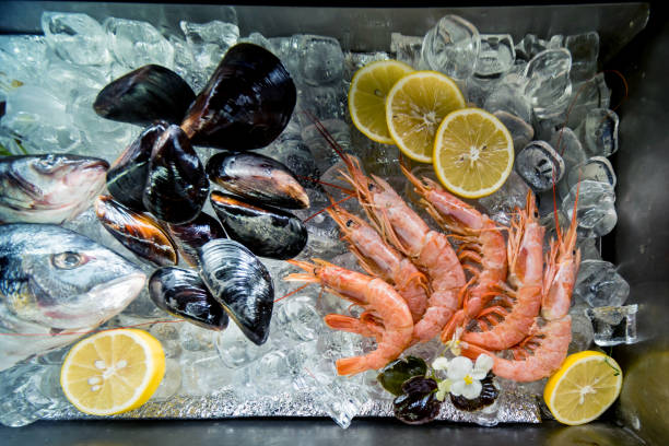 istock Frozen see food on ice. Shrimps, fish and seashells. 1205054801