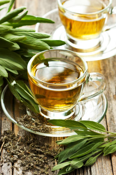 istock Infusion made from sage leaves. Medicinal herb Salvia officinalis 1205054997