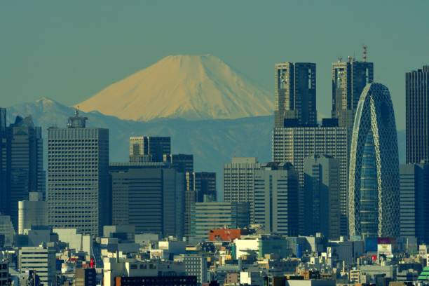 istock Mt Fuji and Tokyo Skyline : Day and Night 1205055989