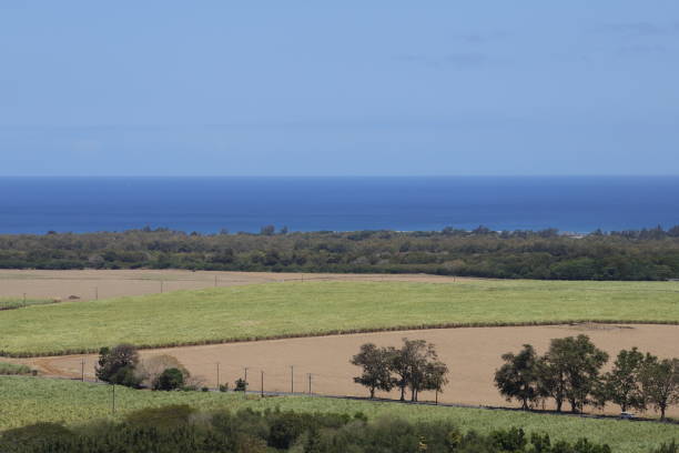 istock Panorama View Cop en Flac, Tamarin, Mauritius 1205056611