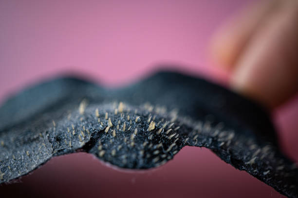 istock Blackhead remover sheet in macro studio shot after used. 1205058936