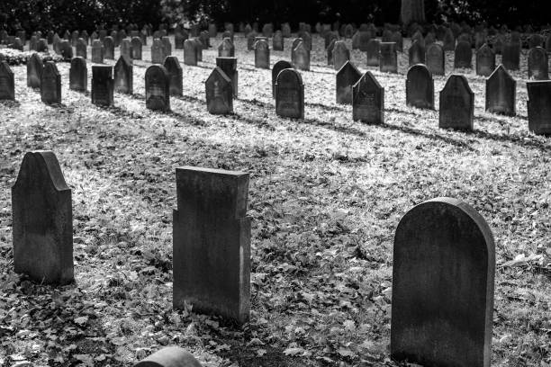 istock Tombstones from the First World War, black and white 1205059410
