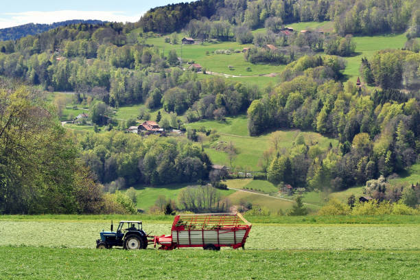 istock Farm ttractor collects mown grass in the field 1205063349