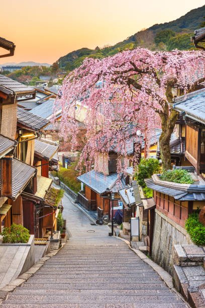 kyoto, giappone città vecchia in primavera - città di kyoto foto e immagini stock