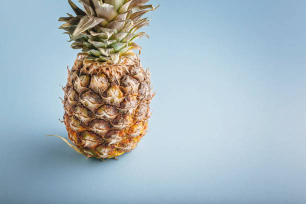 istock Close up ripe pineapple on a blue background. Copy space 1205067735