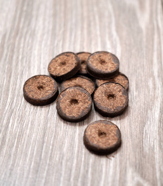 istock Coconut fiber tablets on the wooden table 1205068496