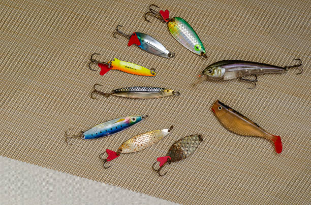 Set of different lures for catching predatory fish. Used and new spinners, bait and silicone lures. Multi-colored fishing lures. View from above. Selective focus. broad catch stock pictures, royalty-free photos & images
