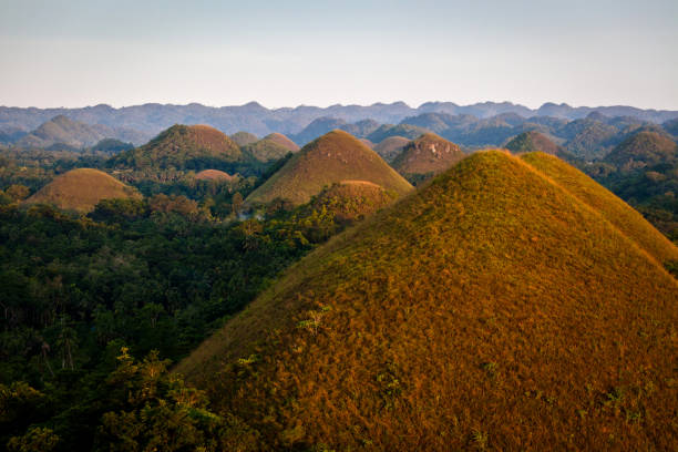 colline al cioccolato di bohol - bohol foto e immagini stock