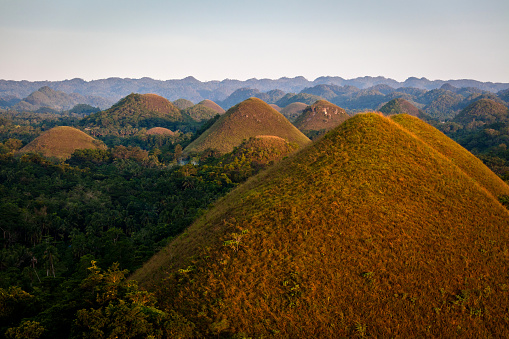 Chocolate Hills of Bohol in the Philippines.