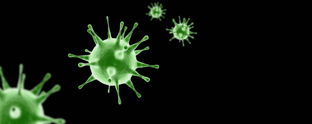 istock New coronavirus 2019-ncov. 3D medical illustration 1205073035