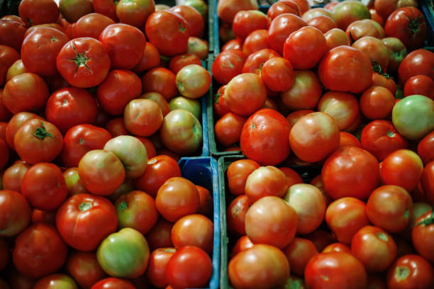 istock Full Frame Shot Of Tomatoes At Market Stall 1205073775