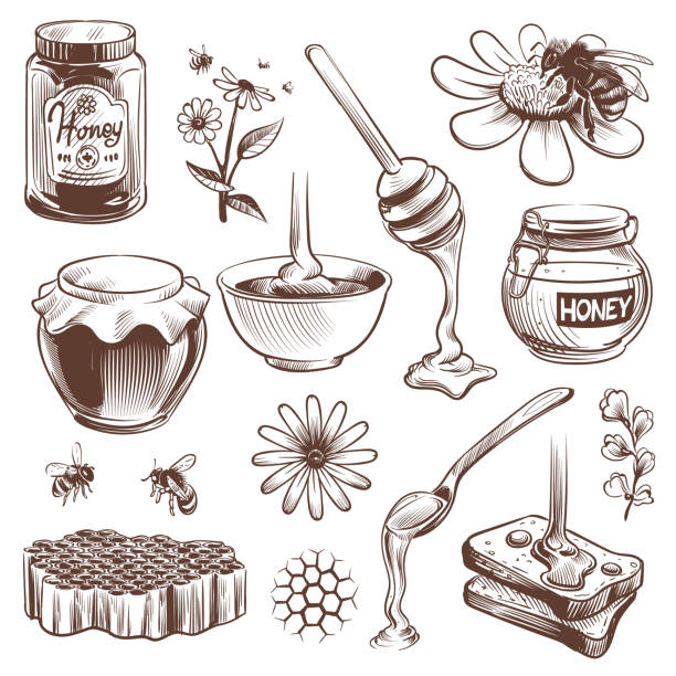 hand gezeichnethonig. imkerei skizze natürliche bio süße lebensmittel honig, pollen und bienenwachs, bienenstock biene vintage vektor-set - activity animal bee beeswax stock-grafiken, -clipart, -cartoons und -symbole