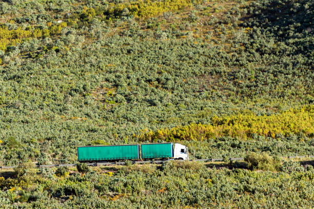 istock Freight transportation truck driving through the mountains 1205077012