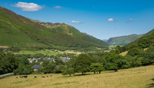 istock Village in a green valley 1205078414