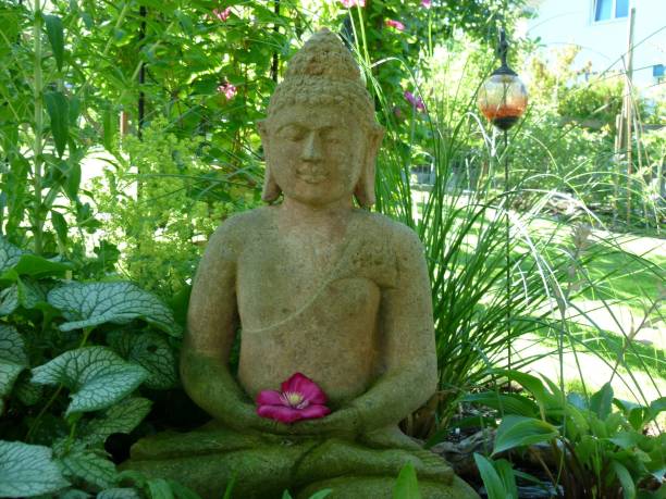 istock Garden and flowers 1205078580