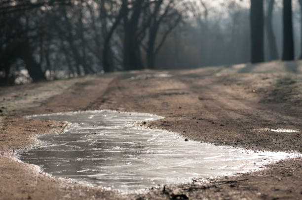 Frozen puddle on a dirt road in the morning.