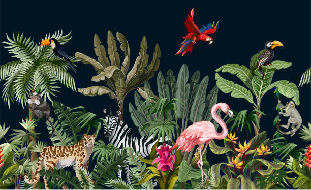 ilustraciones, imágenes clip art, dibujos animados e iconos de stock de frontera con animales de la selva, flores y árboles. vector - bosque pluvial ilustraciones